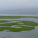 Salt marsh landscape in Harris by Niki Fulton